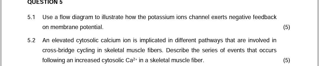 Question 5 5 1 Use A Flow Diagram To Illustrate How The Potassium Ions Channel Exerts Negative Feedback On Membrane Pote 1