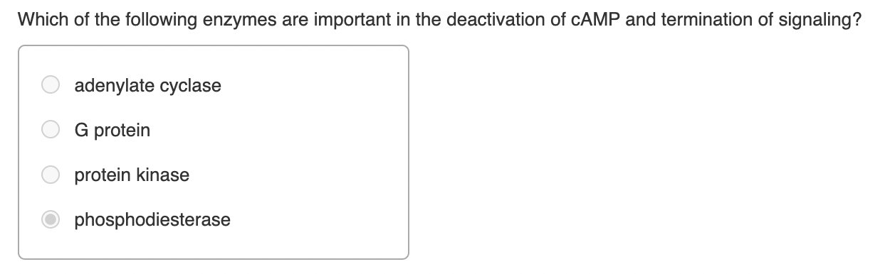 Which Of The Following Enzymes Are Important In The Deactivation Of Camp And Termination Of Signaling 1