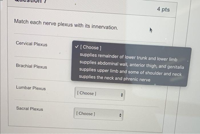 4 Pts Match Each Nerve Plexus With Its Innervation Cervical Plexus Choose Supplies Remainder Of Lower Trunk And Lowe 1