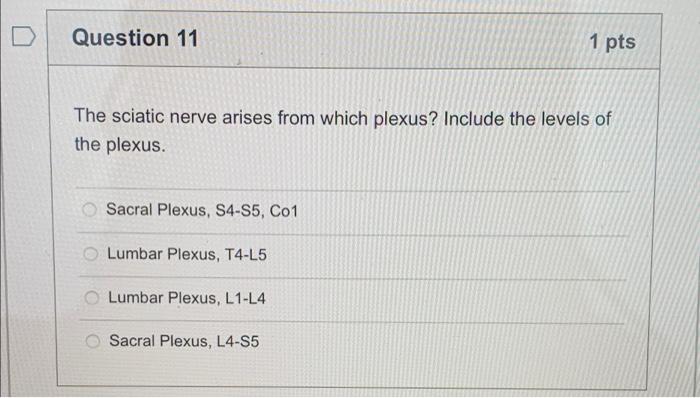 Question 11 1 Pts The Sciatic Nerve Arises From Which Plexus Include The Levels Of The Plexus Sacral Plexus S4 S5 Co 1