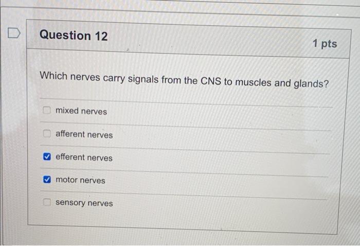 Question 12 1 Pts Which Nerves Carry Signals From The Cns To Muscles And Glands Mixed Nerves Afferent Nerves Efferent N 1