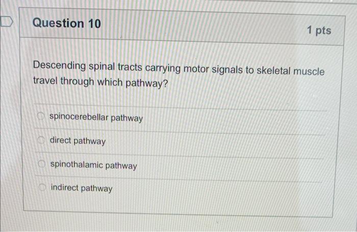 Question 10 1 Pts Descending Spinal Tracts Carrying Motor Signals To Skeletal Muscle Travel Through Which Pathway Spino 1