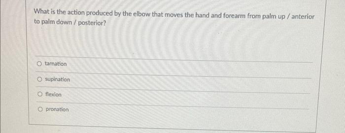 What Is The Action Produced By The Elbow That Moves The Hand And Forearm From Palm Up Anterior To Palm Down Posterior 1