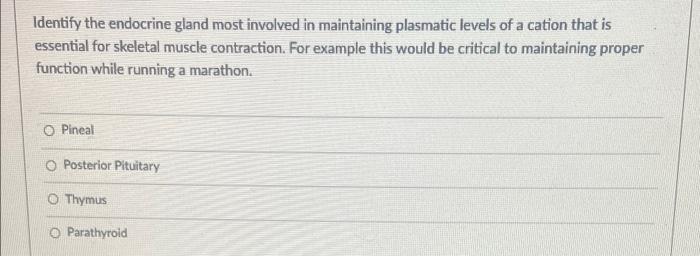 Identify The Endocrine Gland Most Involved In Maintaining Plasmatic Levels Of A Cation That Is Essential For Skeletal Mu 1