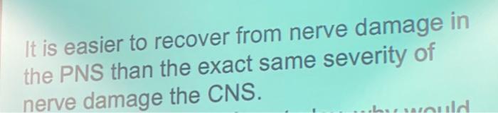 It Is Easier To Recover From Nerve Damage In The Pns Than The Exact Same Severity Of Nerve Damage The Cns Would 1