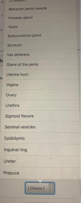 Identify The Following Structures Rectum 12 Urinary Bladder 11 Urethra Doned Spermatic Cord 10 Unn Fig 15 2 8 Retra 2
