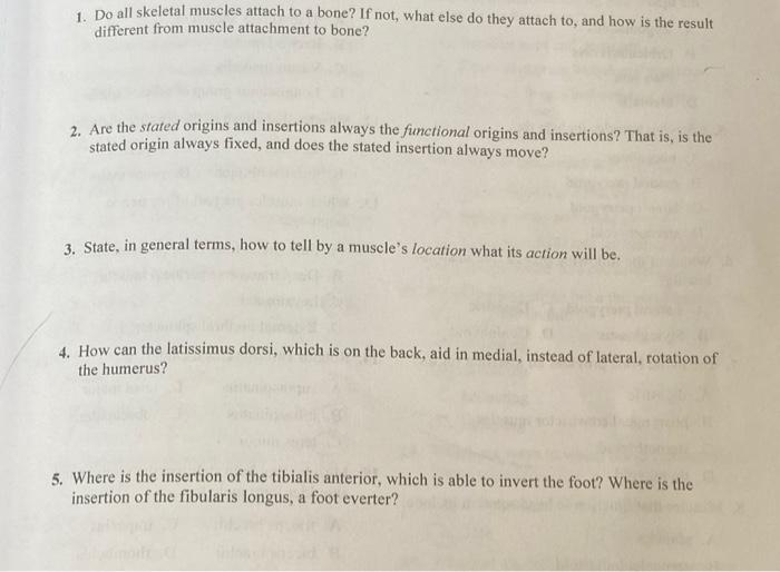 1 Do All Skeletal Muscles Attach To A Bone If Not What Else Do They Attach To And How Is The Result Different From M 1