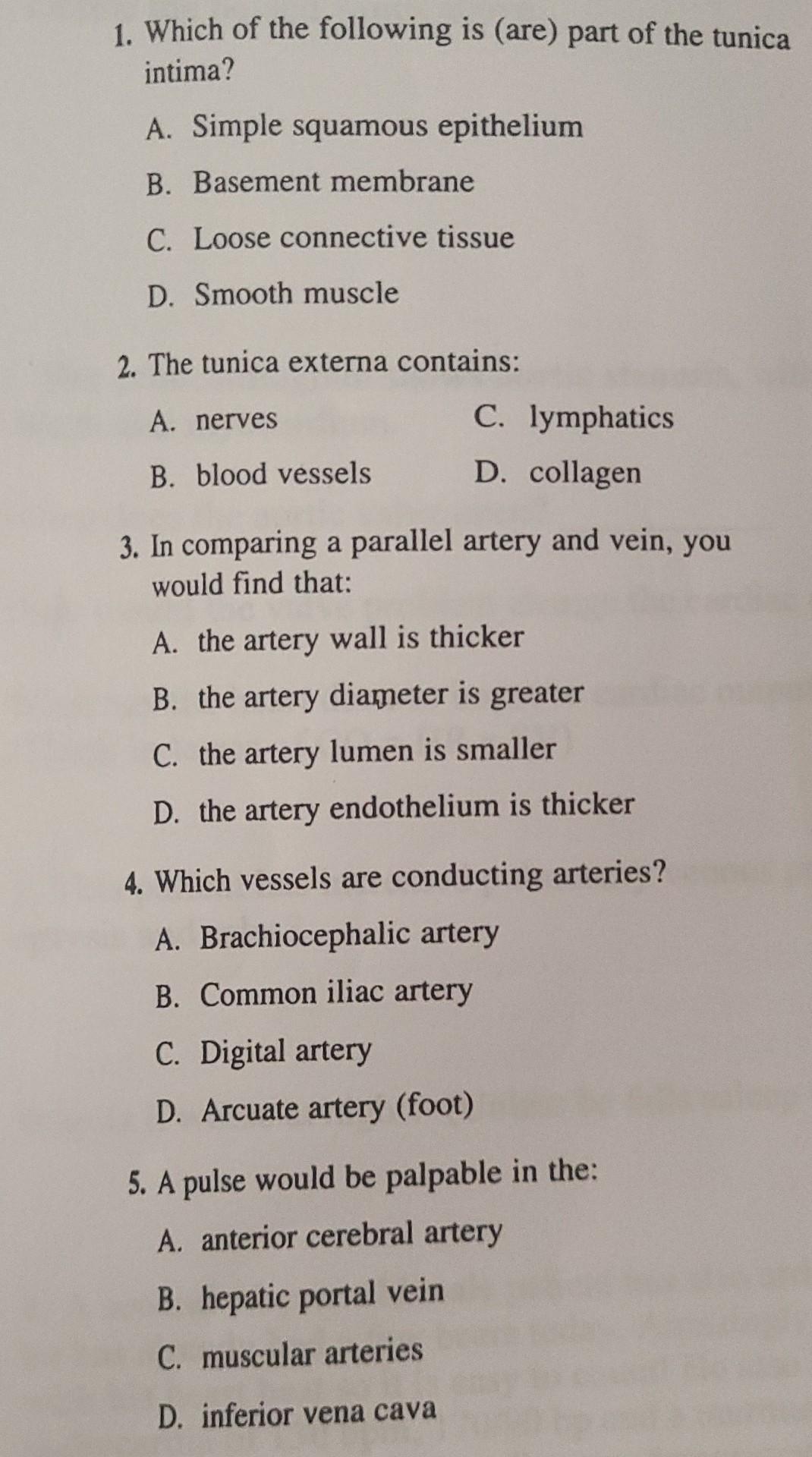 1 Which Of The Following Is Are Part Of The Tunica Intima A Simple Squamous Epithelium B Basement Membrane C Loos 1