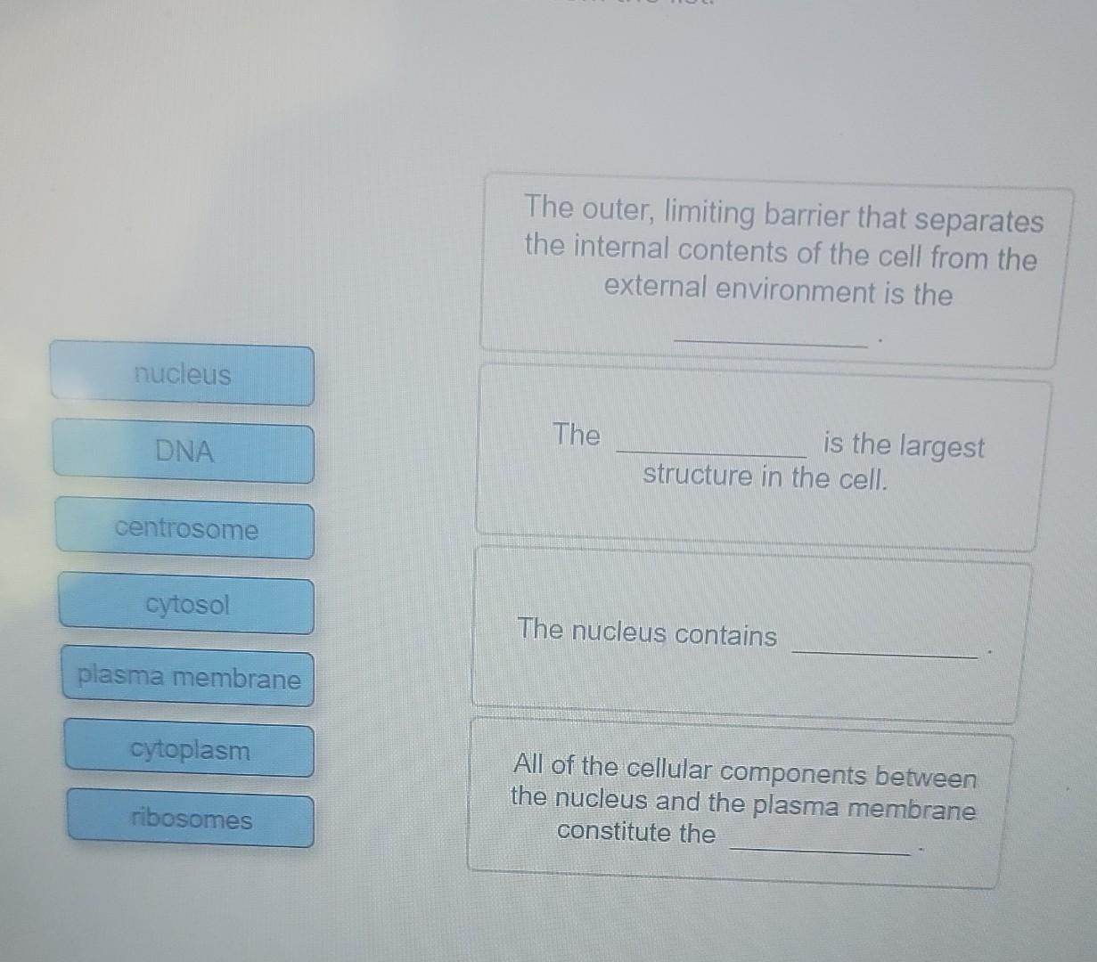 The Outer Limiting Barrier That Separates The Internal Contents Of The Cell From The External Environment Is The Nucleu 1