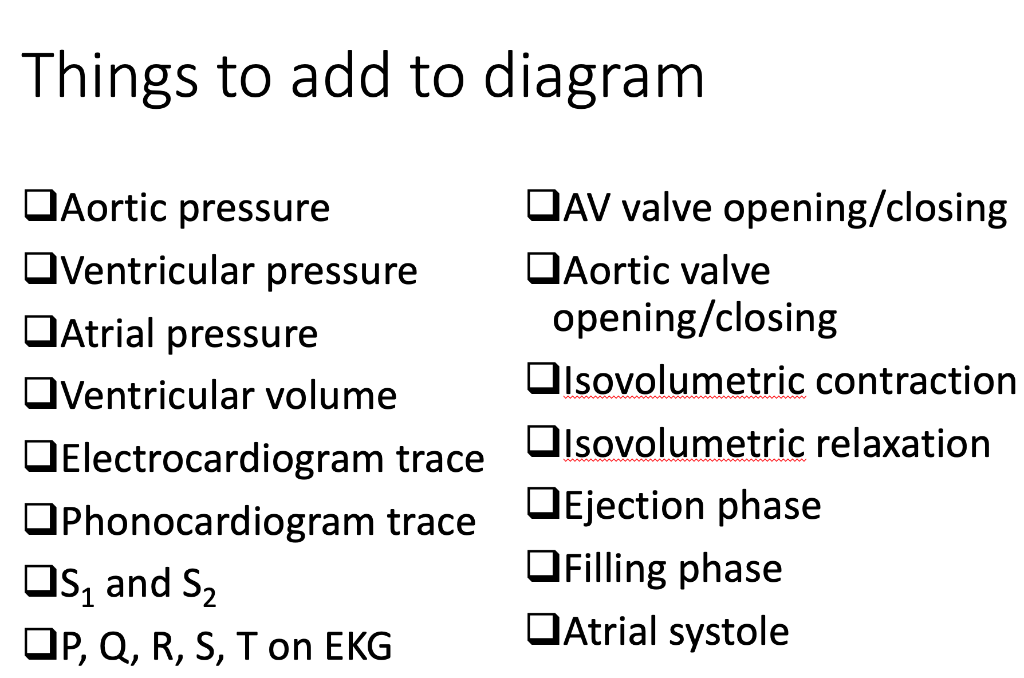 Things To Add To Diagram Aortic Pressure Ventricular Pressure Atrial Pressure Oventricular Volume Electrocardiogram Trac 1