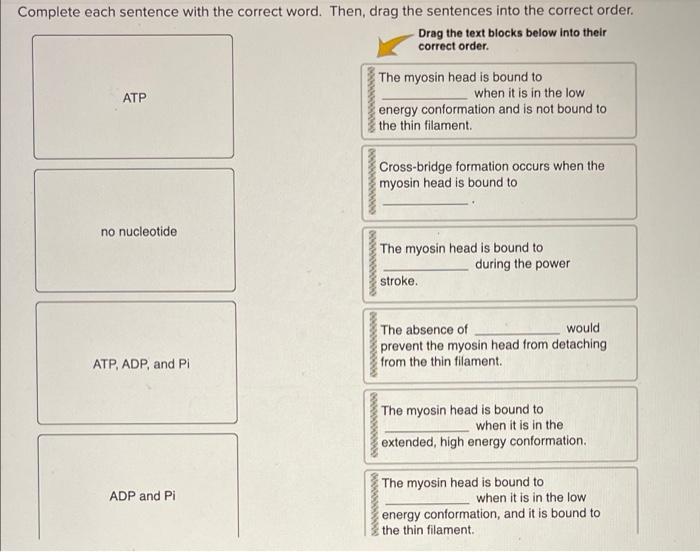 Complete Each Sentence With The Correct Word Then Drag The Sentences Into The Correct Order Drag The Text Blocks Belo 1