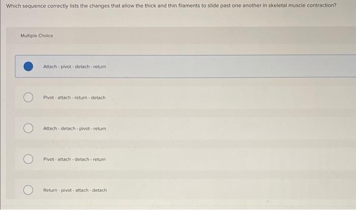 Which Sequence Correctly Lists The Changes That Allow The Thick And Thin Filaments To Slide Past One Another In Skeletal 1