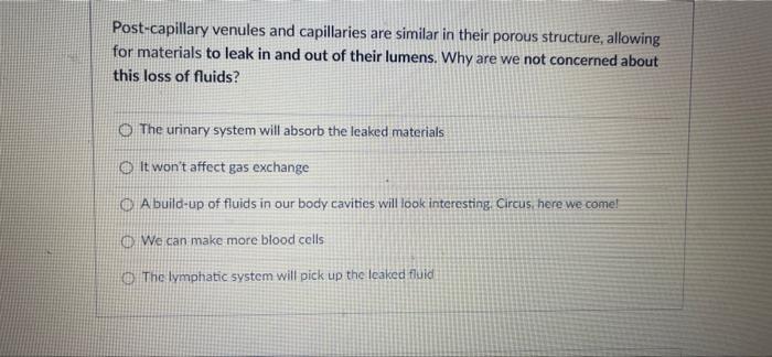 Post Capillary Venules And Capillaries Are Similar In Their Porous Structure Allowing For Materials To Leak In And Out 1