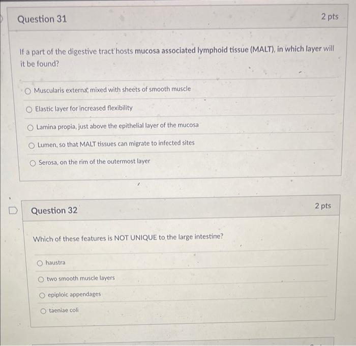 2 Pts Question 29 Simple Columnar Cells Are The Most Frequent Cell Type In This Layer Of The Digestive Tract O Muscular 2