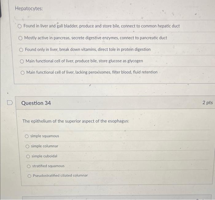 2 Pts Question 29 Simple Columnar Cells Are The Most Frequent Cell Type In This Layer Of The Digestive Tract O Muscular 3