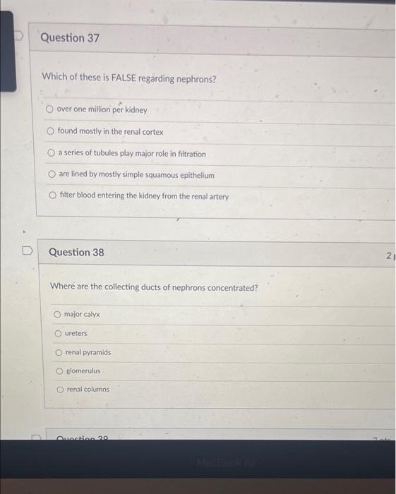 2 Pts Question 29 Simple Columnar Cells Are The Most Frequent Cell Type In This Layer Of The Digestive Tract O Muscular 5