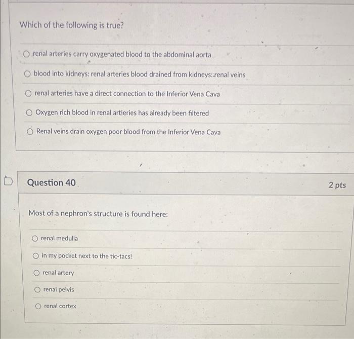 Which Of The Following Is True O Renal Arteries Carry Oxygenated Blood To The Abdominal Aorta Blood Into Kidneys Renal 1