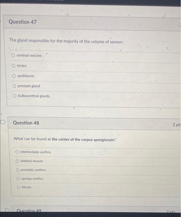 Which Of The Following Is True O Renal Arteries Carry Oxygenated Blood To The Abdominal Aorta Blood Into Kidneys Renal 5