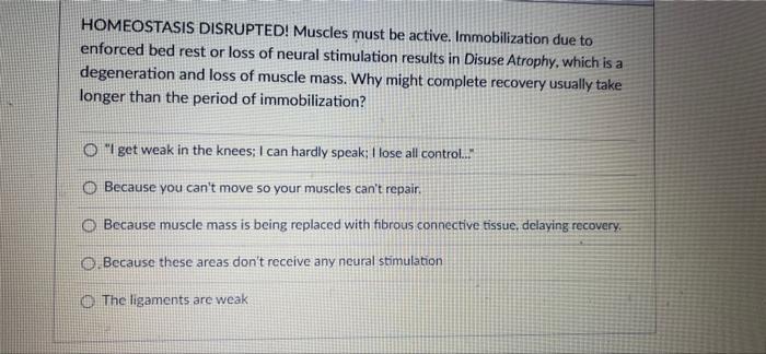 Homeostasis Disrupted Muscles Must Be Active Immobilization Due To Enforced Bed Rest Or Loss Of Neural Stimulation Res 1
