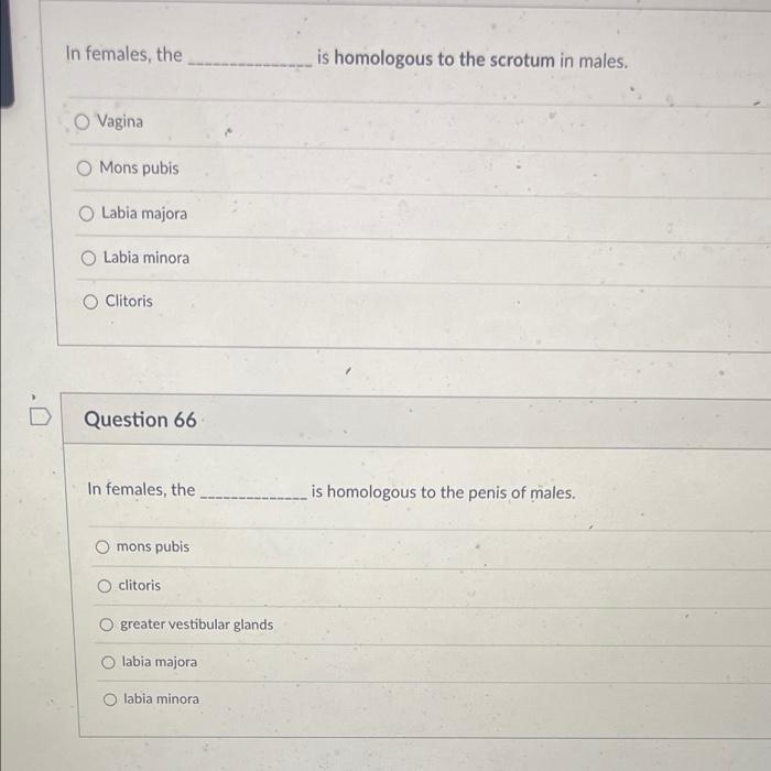D Which Of These Does Not Belong When Talking About Ovaries Ovulation Eggs Site Of Fertilization Estrogen O Progesteron 4