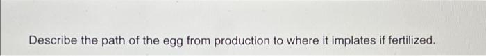 What Is The Purpose Of The Seminiferous Tubules And The Epididymis Describe The Path Of The Egg From Production To Whe 2