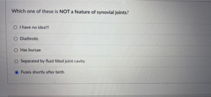 Post Capillary Venules And Capillaries Are Similar In Their Porous Structure Allowing For Materials To Leak In And Out 4