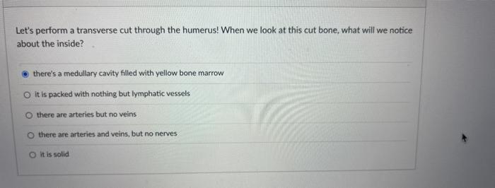 Post Capillary Venules And Capillaries Are Similar In Their Porous Structure Allowing For Materials To Leak In And Out 6