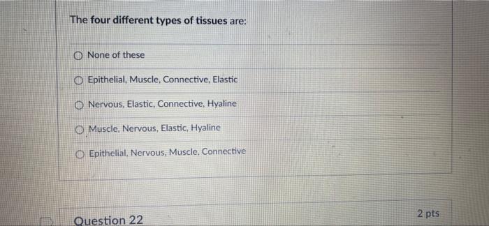 The Four Different Types Of Tissues Are None Of These Oepithelial Muscle Connective Elastic Nervous Elastic Connec 1