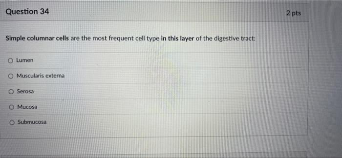 Question 34 Simple Columnar Cells Are The Most Frequent Cell Type In This Layer Of The Digestive Tract O Lumen Muscular 1