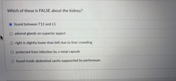 Question 34 Simple Columnar Cells Are The Most Frequent Cell Type In This Layer Of The Digestive Tract O Lumen Muscular 2