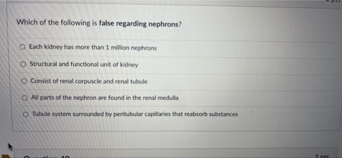 Question 34 Simple Columnar Cells Are The Most Frequent Cell Type In This Layer Of The Digestive Tract O Lumen Muscular 3