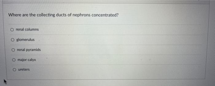 Question 34 Simple Columnar Cells Are The Most Frequent Cell Type In This Layer Of The Digestive Tract O Lumen Muscular 5