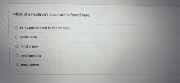 Question 34 Simple Columnar Cells Are The Most Frequent Cell Type In This Layer Of The Digestive Tract O Lumen Muscular 7