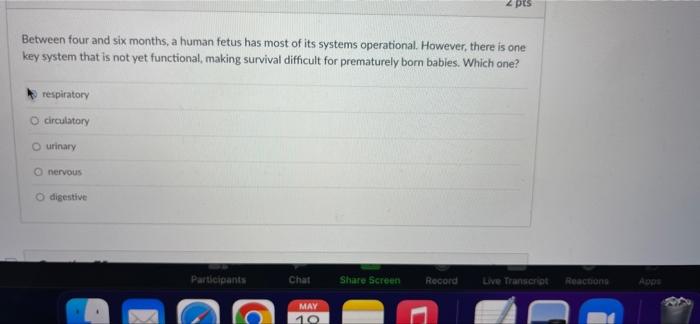 Pes Between Four And Six Months A Human Fetus Has Most Of Its Systems Operational However There Is One Key System Tha 1