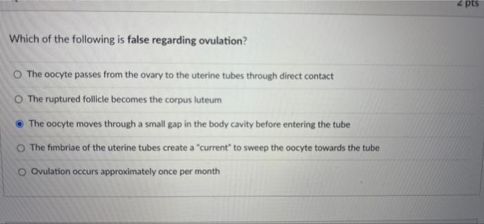 Pes Between Four And Six Months A Human Fetus Has Most Of Its Systems Operational However There Is One Key System Tha 3