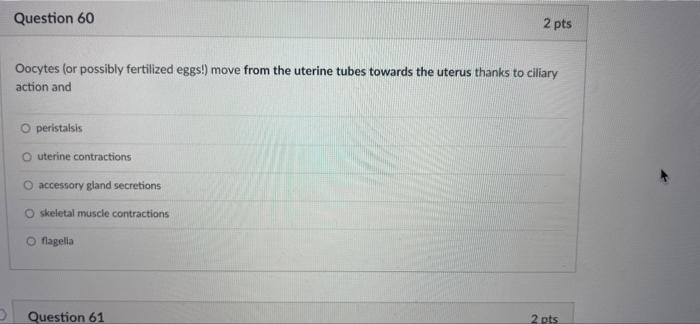 Pes Between Four And Six Months A Human Fetus Has Most Of Its Systems Operational However There Is One Key System Tha 5