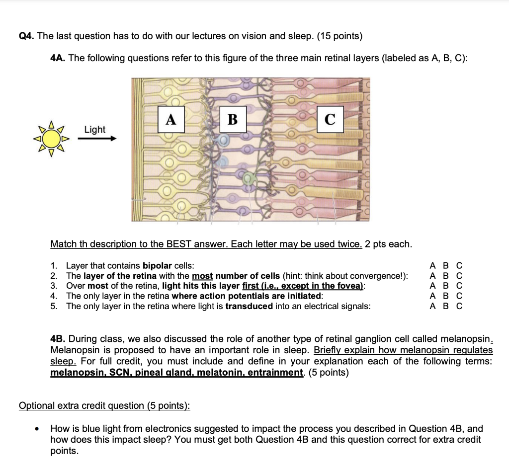 Q4 The Last Question Has To Do With Our Lectures On Vision And Sleep 15 Points 4a The Following Questions Refer To 1