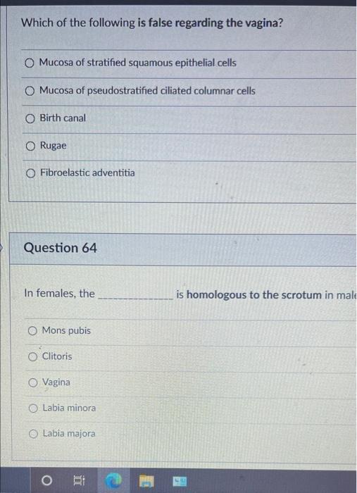 Which Of The Following Is False Regarding The Vagina O Mucosa Of Stratified Squamous Epithelial Cells O Mucosa Of Pseud 1