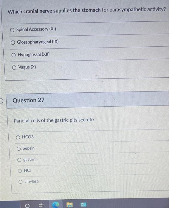 Which Cranial Nerve Supplies The Stomach For Parasympathetic Activity O Spinal Accessory Xi O Glossopharyngeal Ix O 1