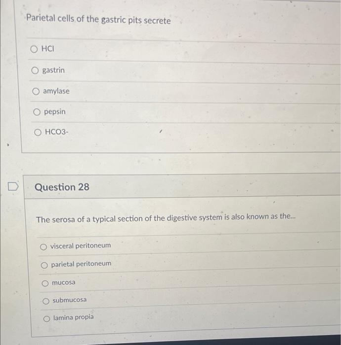 Choose The Correct Description Of The Sphincters Of The Anus O Internal Smooth Muscle External Skeletal Mus 3