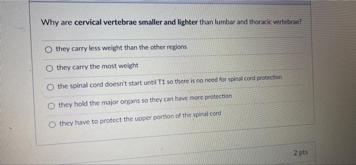 Why Are Cervical Vertebrae Smaller And Lighter Than Lumbar And Thoracic Vertebrae Othey Carry Less Weight Than The Othe 1