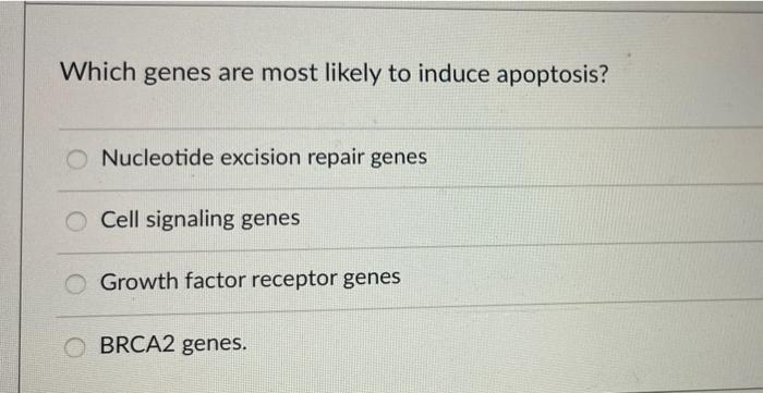 Which Genes Are Most Likely To Induce Apoptosis Nucleotide Excision Repair Genes Cell Signaling Genes Growth Factor Rec 1