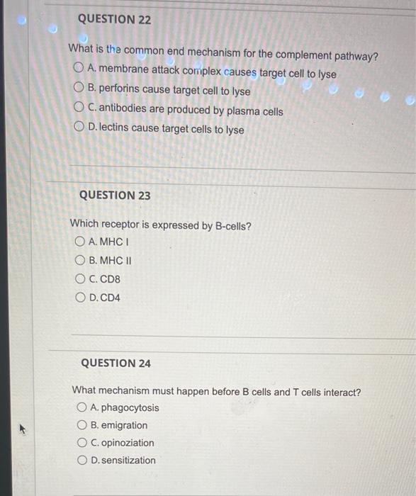 Question 19 Which Cells Need To Be Screened For Self Reactivity Click All That Apply A B Cells Ob T Cells C Myeloid 2