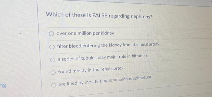 Ng Which Of These Is False Regarding Nephrons Over One Million Per Kidney Filter Blood Entering The Kidney From The Ren 1