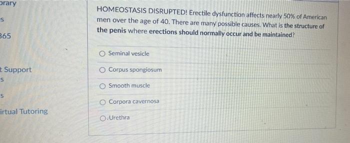 Orary S 365 Support S S Irtual Tutoring Homeostasis Disrupted Erectile Dysfunction Affects Nearly 50 Of American Men 1