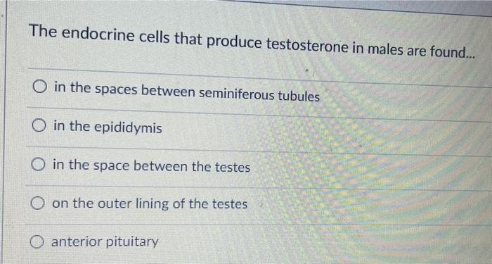 Orary S 365 Support S S Irtual Tutoring Homeostasis Disrupted Erectile Dysfunction Affects Nearly 50 Of American Men 3