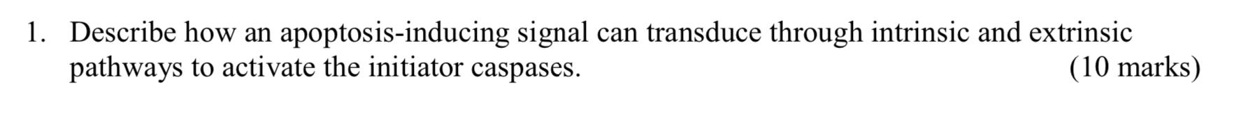 1 Describe How An Apoptosis Inducing Signal Can Transduce Through Intrinsic And Extrinsic Pathways To Activate The Init 1
