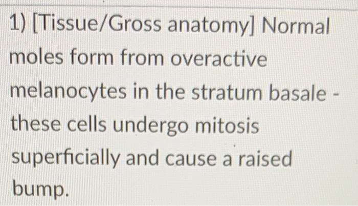 1 Tissue Gross Anatomy Normal Moles Form From Overactive Melanocytes In The Stratum Basale These Cells Undergo Mito 1