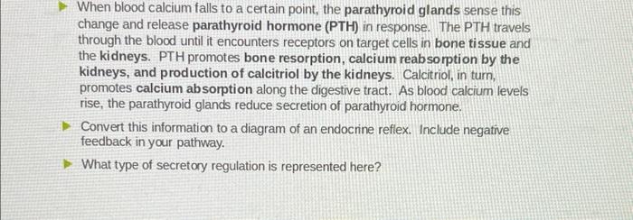 When Blood Calcium Falls To A Certain Point The Parathyroid Glands Sense This Change And Release Parathyroid Hormone P 1