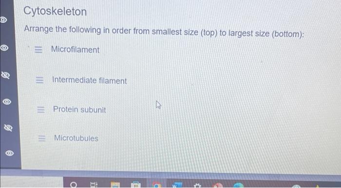 Cytoskeleton Arrange The Following In Order From Smallest Size Top To Largest Size Bottom Microfilament Intermediat 1
